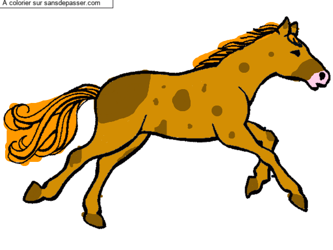 Cheval au galop par un invit&eacute;
