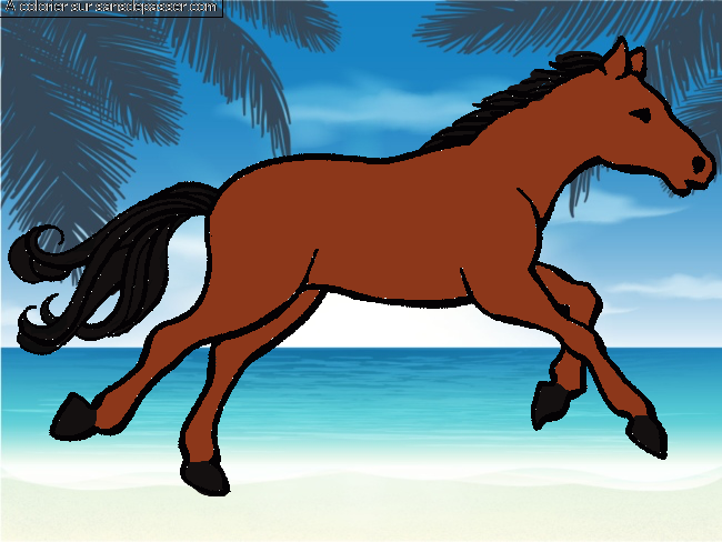 Cheval au galop par un invit&eacute;