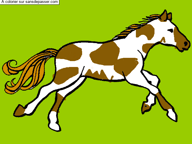 Cheval au galop par lise50