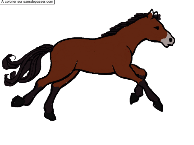 Cheval au galop par un invit&eacute;