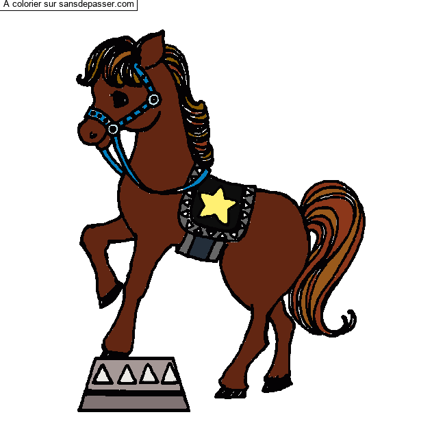 Cheval de cirque par un invit&eacute;