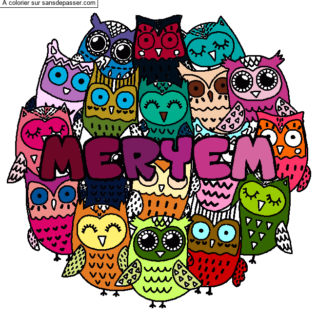 Coloriage Coloriage pr&eacute;nom MERYEM - d&eacute;cor Chouettes par un invit&eacute;