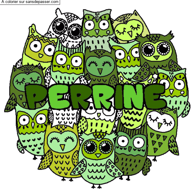 Coloriage Coloriage pr&eacute;nom PERRINE - d&eacute;cor Chouettes par un invit&eacute;