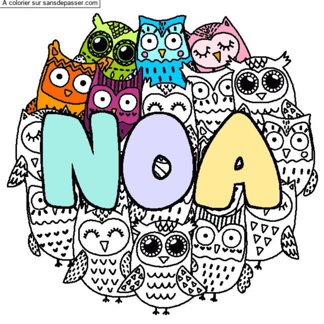 Coloriage pr&eacute;nom NOA - d&eacute;cor Chouettes par Michachou6 