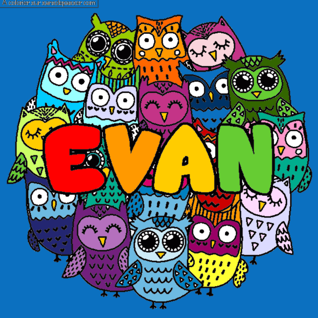 Coloriage pr&eacute;nom EVAN - d&eacute;cor Chouettes par un invit&eacute;